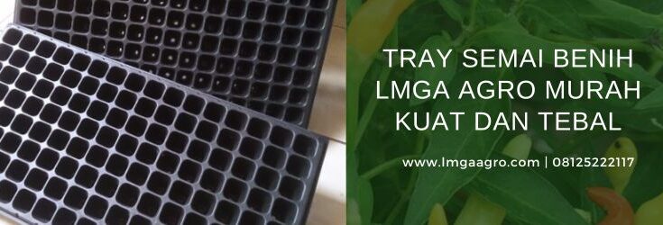 Tray Semai, Pot Tray Semai, Tray Semai Benih, Tray semai 1 128 LB, lmga agro, toko online, harga murah, persemaiain, harga pot tray semai, semai artinya, benih, bibit