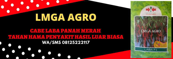 Cabe Laba Panah Merah, Cabe Laba, Benih Cabe Laba, Bibit Cabe Laba, Cabe Laba F1, Tanaman Cabe Laba, Budidaya Cabe Laba, Panah Merah, East West Seed, Lmga Agro, Toko Pertanian, Toko Pertanian Terdekat