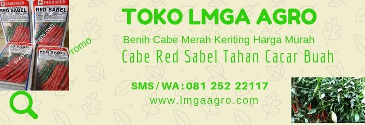 Cabai Red Sabel, Red Sabel F1, Benih Cabai, Takii Seed, Harga Murah, Jual cabe Red Sabel, Tahan Cacar Buah, LMGA AGRO