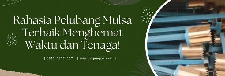 pelubang mulsa, alat pelubang mulsa, alat pembolong plastik, cara melubang mulsa, ukuran lubang mulsa, mulsa, manfaat mulsa, alat, tajam, tahan karat, jual pelubang mulsa, pelubang mulsa murah, lmga agro, toko online, toko pertanian, toko pertanian terdekat