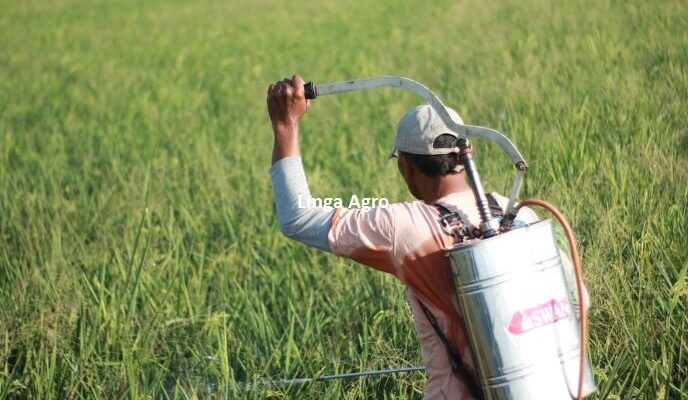 Pestisida, Jenis Pestisida, Jenis-jenis Pestisida, Apa Itu Pastisida, Padi, Tanaman Padi, Pestisida Padi, Lmga Agro, Toko Pertanian, Toko Tani, Toko Pertanian Terdekat