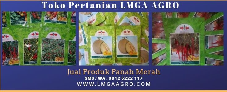 Cap Panah Merah, Benih Cap Panah Merah, Bibit Cap Panah Merah, Jual Produk Panah Merah, East West, LMGA AGRO, Toko Pertanian, Harga diskon, Aman, Murah