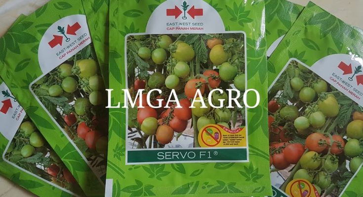 BELI PRODUK PANAH MERAH