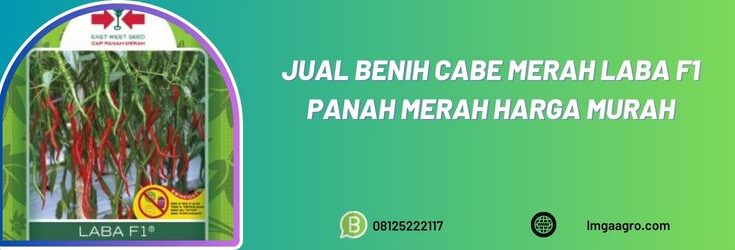 Benih Cabe Merah, Cabe Merah, Cabe Merah Keriting, Bibit Cabe, Benih Cabe, Tanaman Cabe, Cabe Laba, Cabe Keriting Laba, Harga Murah, Toko Pertanian, Toko Pertanian terdekat, Lmga Agro