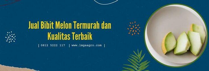 Bibit Melon, Benih Melon, Jual Bibit Melon, Bibit Melon Murah, Benih Melon Murah, Melon, Lmga Agro, Toko Pertanian, Toko Pertanian Terdekat