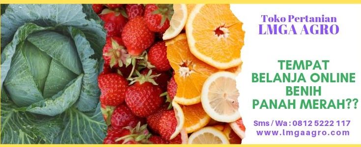 Belanja Online Benih, Benih Cap Panah Merah,East West, Harga diskon, Promo, Toko Pertanian, LMGA AGRO