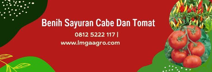 Benih Sayuran, Benih Sayuran Cabe Tomat, Bibit Sayuran, Tanaman Sayuran, Budidaya Sayuran, Toko Bibit Sayuran Terdekat, Lmga Agro,Gambar Sayuran, Macam Macam Sayur,