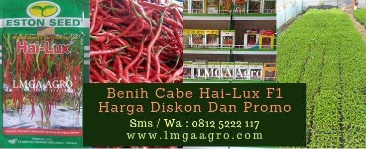Benih Cabe Hai-Lux F1, Cabe Hai-Lux, Eston Seed, LMGA AGRO, Harga murah