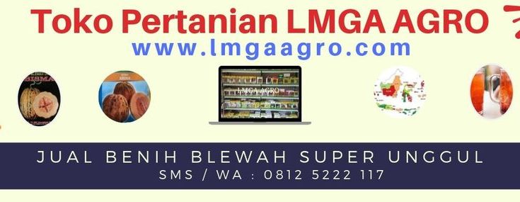 Blewah, Benih Blewah, Benih Garbis, Garbis, Benih, Buah, Bisma, Aruna, Lmga Agro, Harga diskon, Promo, Toko Pertanian, Toko Pertanian Terdekat, Toko Tani, Harga Murah