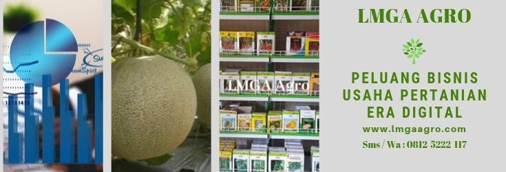 Peluang Bisnis, Usaha Pertanian, Era Digital, Toko Pertanian,LMGA AGRO, Toko Tani, Toko Pertanian Terdekat