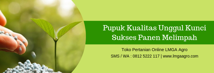 Pupuk, unsur hara, budidaya tanaman,budidaya,tanaman