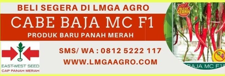 Cabe Baja MC F1, Cabe Baja MC, Baja MC F1, Cabe Baja MC Panah Merah, Cabe Baja MC F1 Murah, Jual cabe Baja MC F1, Cabe Baja MC East West, LMGA AGRO, Toko Pertanian