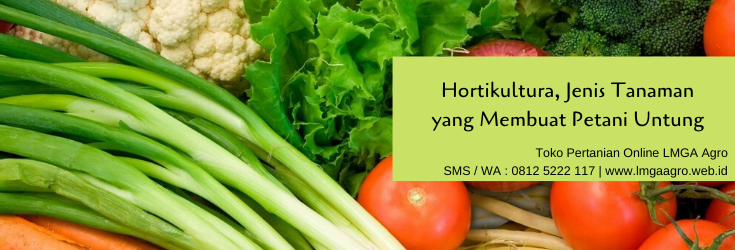 hortikultura, tanaman, budidaya, pertanian, budidaya tanaman, petani, lmga agro