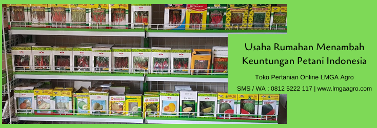 usaha rumahan, pertanian, budidaya tanaman, toko pertanian, lmga agro