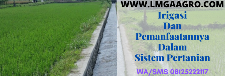 irigasi, sistem, sistem irigasi, dunia, indonesia, danau, sungai, bendungan, air