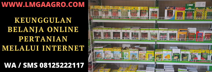 belanja, online, belanja online pertanian, bisnis online, usaha online, benih, zpt, pupuk, pestisida, murah, lengkap, lmga agro, toko pertanian, olshop