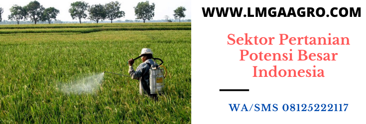 sektor, pertanian, sektor pertanian, indonesia, online, toko online, lmga agro