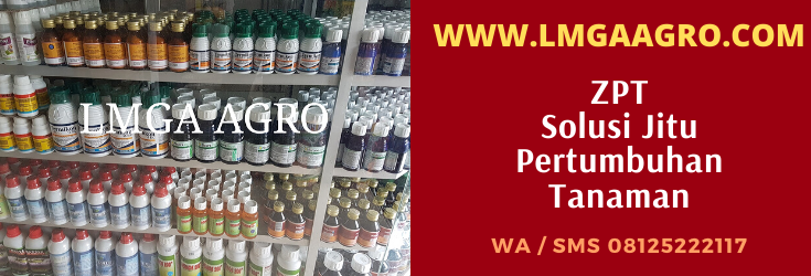 zpt, zat pengatur tumbuh, lmga agro, jual, murah, lengkap