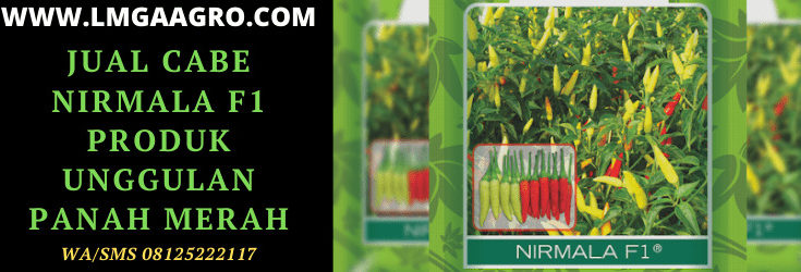 jual cabe nirmala, panah merah, cap panah merah, eastwestseed, east west, cabai, cabe, nirmala, f1, nirmala f1, benih, bibit, jual