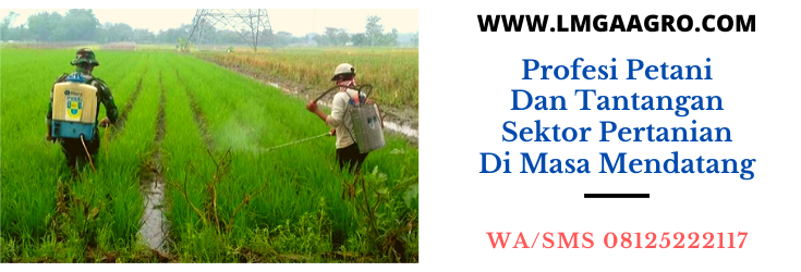 profesi, petani, tantangan, sektor, bertani, bercocok tanam