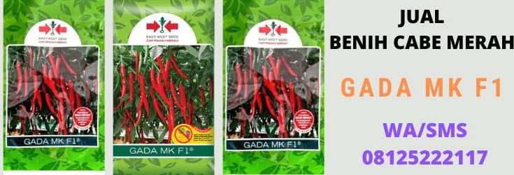 jual, cabe merah, murah, harga murah, lengkap, berkualitas