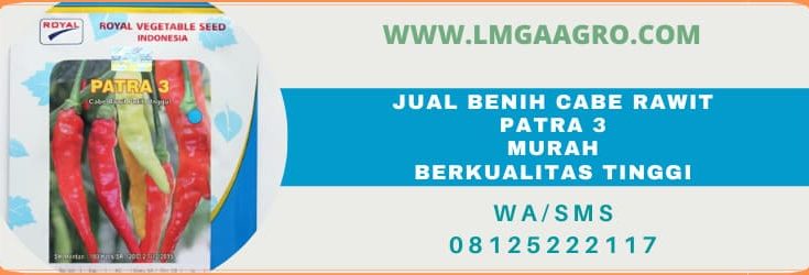 jual, beli, jual beli, termurah, terlengkap, berkualitas, tinggi