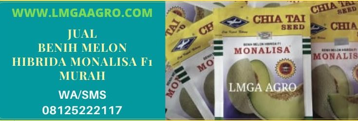 jual, benih melon hibrida, monalisa f1, melon hibrida monalisa, murah, harga murah, online, termurah, berkualitas