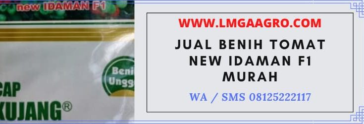 jual, benih, tomat, hibrida, harga murah, petani, tomat, lmga agro, toko pertanian