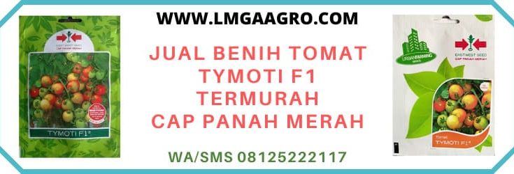 panah merah, cap panah merah, ewindo, eastwestseed, east west seed indonesia, tomat hibrida tymoti, murah, berkualitas, terpercaya