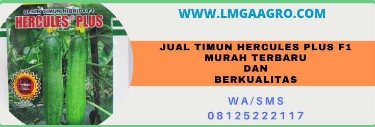 harga murah, terbaru, berkualitas, jual beli online, mentimun hercules plus, timun hercules plus, hercules plus f1, cap kapal terbang, kapal terbang, bisi