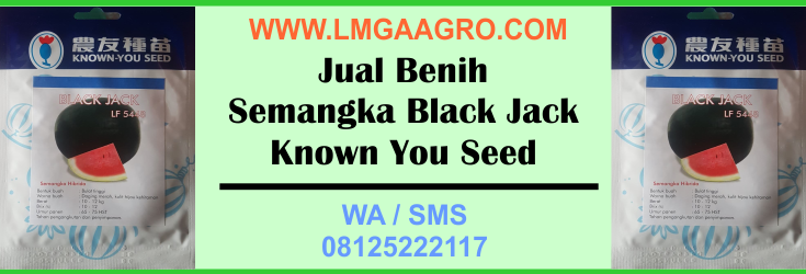 Benih, Semangka, Black Jack, Known You Seed
