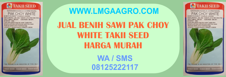 jual, benih, bibit, sawi, sayuran, pak choy, pakcoy, harga, murah, tumis, sehat, bergizi