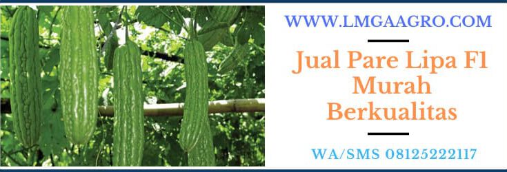 jual, murah, harga murah, berkualitas, jual pare lipa, jual pare lipa f1