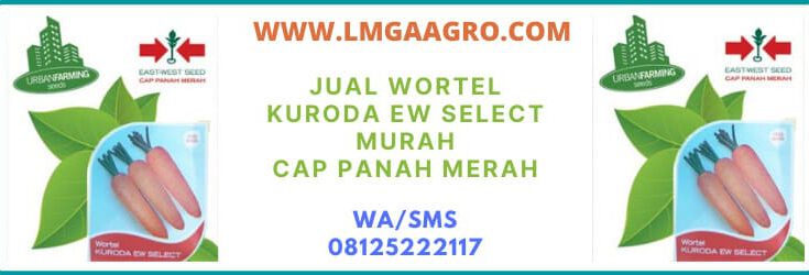 jual, wortel, kuroda, ew select, cap panah merah