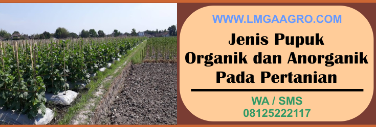 jenis pupuk, pupuk, organik, anorganik, pertanian