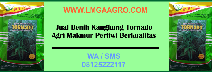 Jual, Benih, Kangkung, Tornado, Agri, Makmur, Pertiwi, Berkualitas