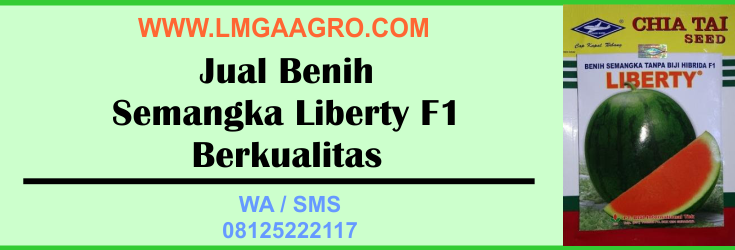 Jual, Benih, Semangka, Liberty F1, Berkualitas