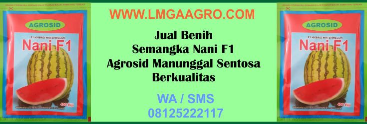 Jual, Benih, Semangka, Nani, F1, Agrosid, Manunggal, Sentosa, Berkualitas