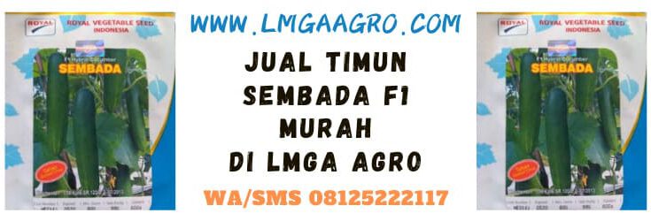lmga agro, lmga, jual, beli, ketimun, mentimun, sembada, royal agro, royal seed