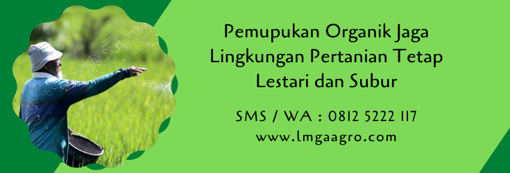 pemupukan organik,pemupukan,pupuk,pupuk pertanian,pupuk organik,budidaya tanaman,benih tanaman,pertanian,lmga agro