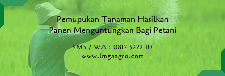 pemupukan,pertanian,budidaya tanaman,pupuk,pupuk organik,pupuk kimia,toko pertanian,lmga agro