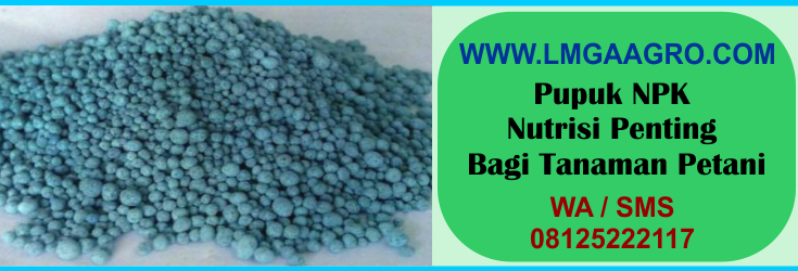 Pupuk npk, nutrisi, penting, tanaman, petani