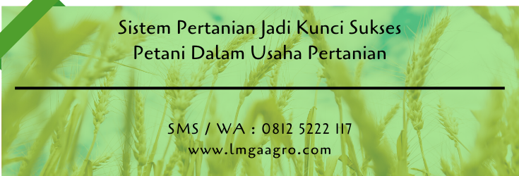 sistem pertanian,budidaya tanaman,pertanian,kunci sukses,petani,usaha pertanian,lmga agro