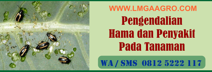 pengendalian, hama, penyakit, tanaman