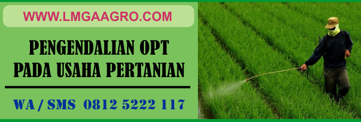pengendalian, opt, usaha, pertanian