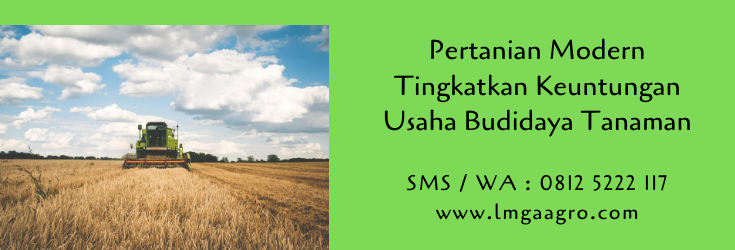 pertanian,pertanian modern,budidaya tanaman,petani,modernisasi,era digital,lmga agro