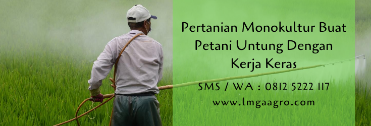 pertanian,pertanian monokultur,budidaya tanaman,petani,peluang usaha,lmga agro