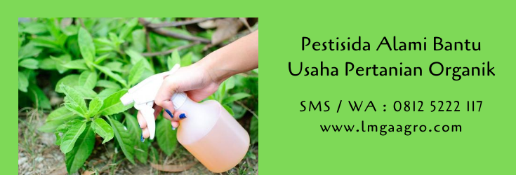 pestisida,pestisida alami,pertanian,pertanian organik,pestisida organik,lmga agro