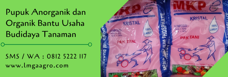 pupuk anorganik,pupuk kimia,pupuk,pupuk pertanian,budidaya tanaman,pertanian,lmga agro