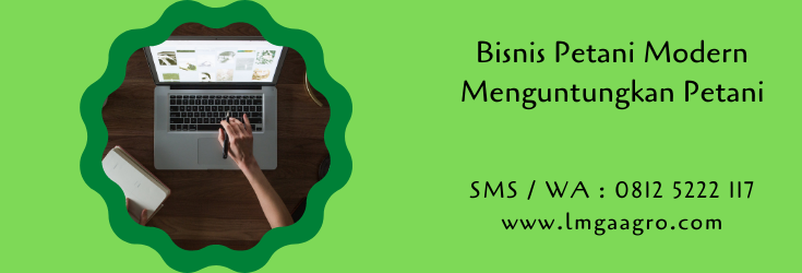 bisnis petani,budidaya tanaman,usaha pertanian,pertanian,petani,modernisasi,lmga agro